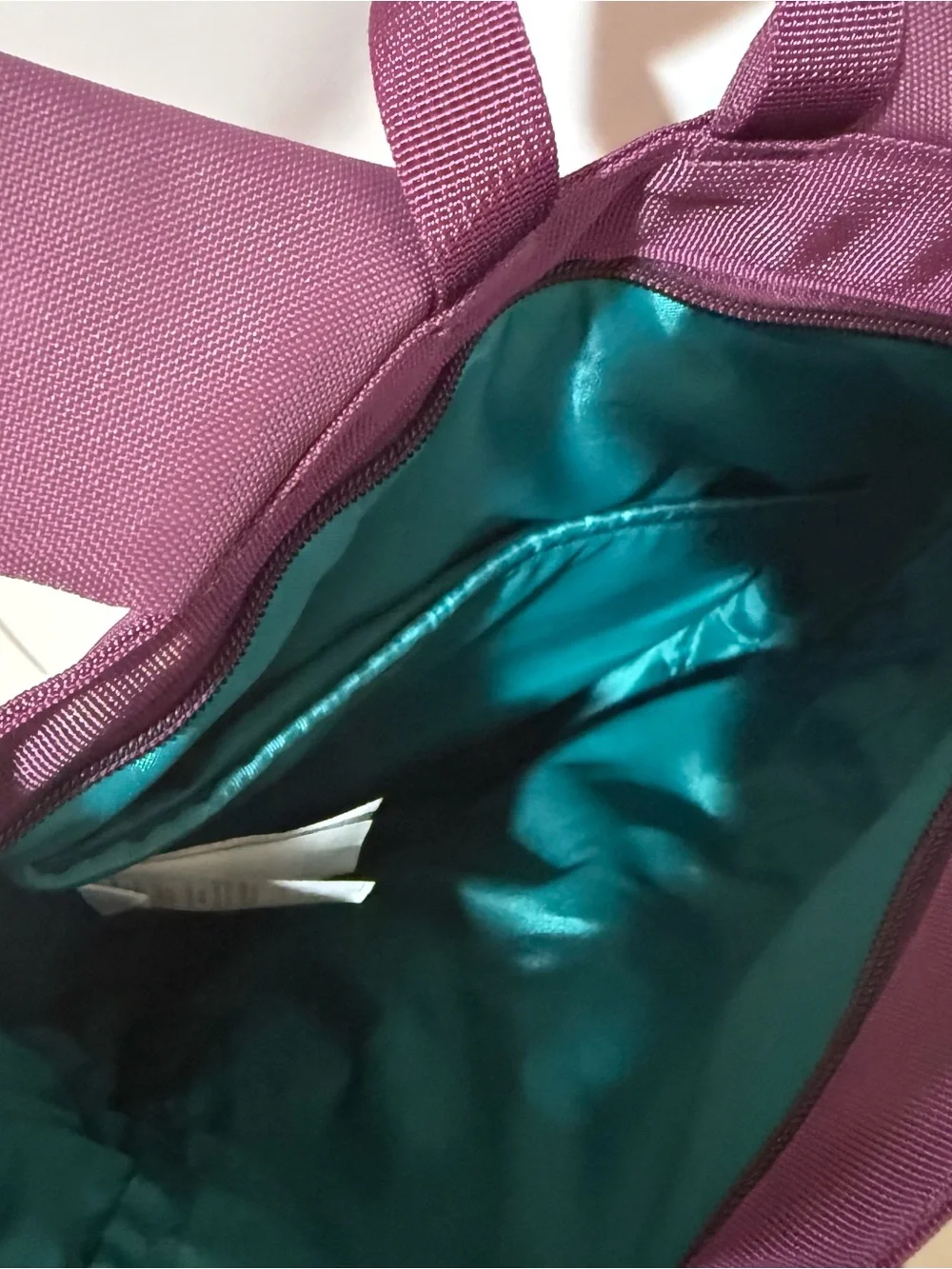 Patagonia Plum Purple Backpack with Teal Accents